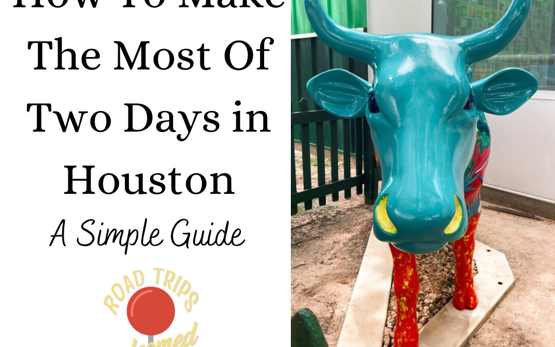 How to Make the Most of 2 Days in Houston: A Simple Guide