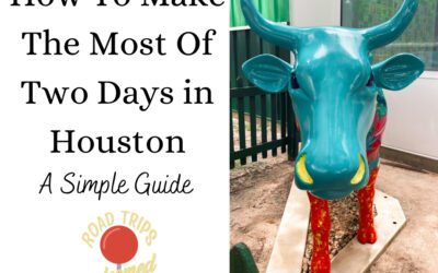 How to Make the Most of 2 Days in Houston: A Simple Guide